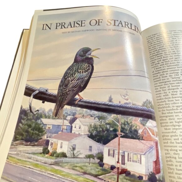 1989 Audubon Nature Yearbook By Les Line Editor Hardcover Book - Picture 7 of 8